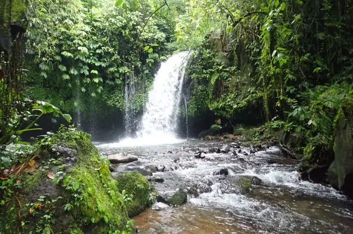 Air Terjun Yeh Hoo, Keindahan Air Terjun dengan Suasana Asri Nan Alami di Tabanan