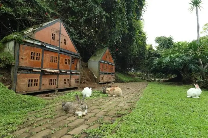 Taman Kelinci Ciwidey, Taman Rekreasi Favorit & Sarana Edukasi di Bandung